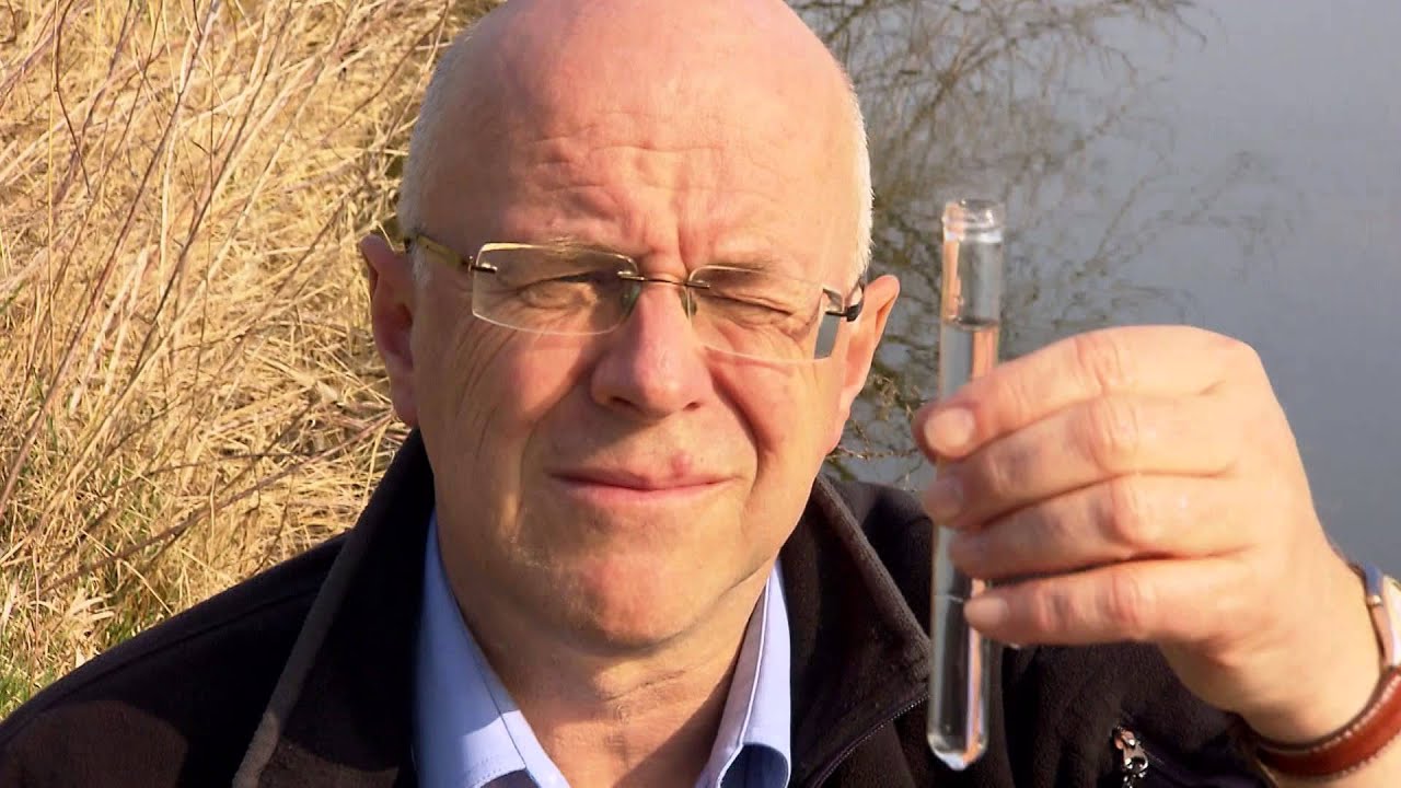 Andreas Manz - Analyse per Mikrochip
