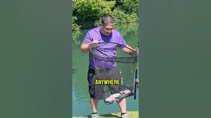 The #1 BAIT To Catch Catfish ANYWHERE!#shorts #fishing #catfish #catfishing