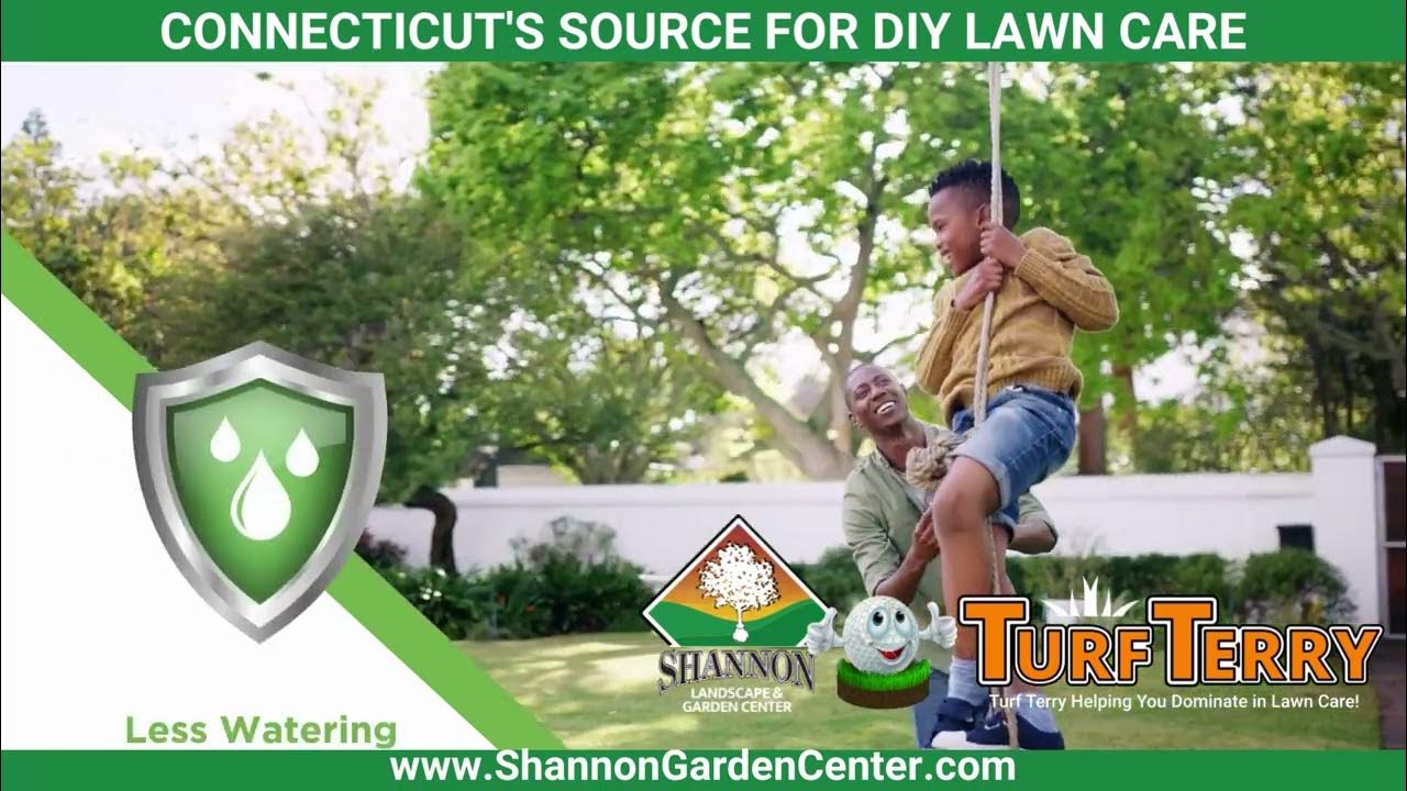 Best Grass Seed for Connecticut Top Rated Grass Seed Connecticut