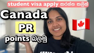 Student to Canada PR 🇨🇦 | Calculating CRS Score | Increase PR points