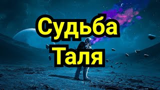 картинка: 12) Судьба Таля !