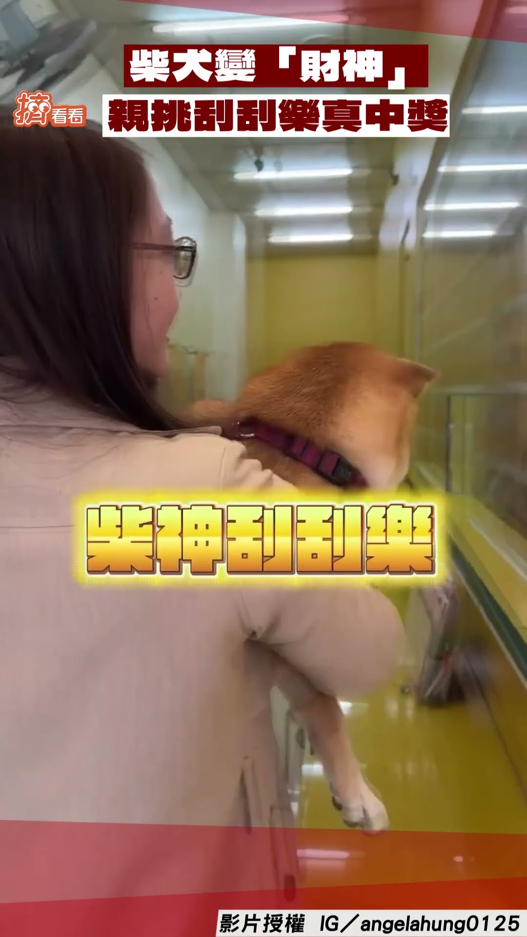 柴犬變「財神」親挑刮刮樂　下秒真中獎主人嗨翻！