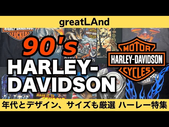 希少★HARLEY-DAVIDSON フレームデザイン ニット帽 ★90年代 2025年最新】Harley-Davidson メンズ ニット帽・ビーニーの人気