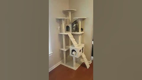 BestPet Cat Tree Cat Tower Cat Condo 57-72 inches Tall Multi-Level