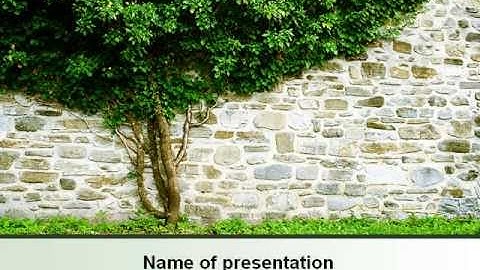 Tree On The Wall PowerPoint Template by PoweredTemplate.com