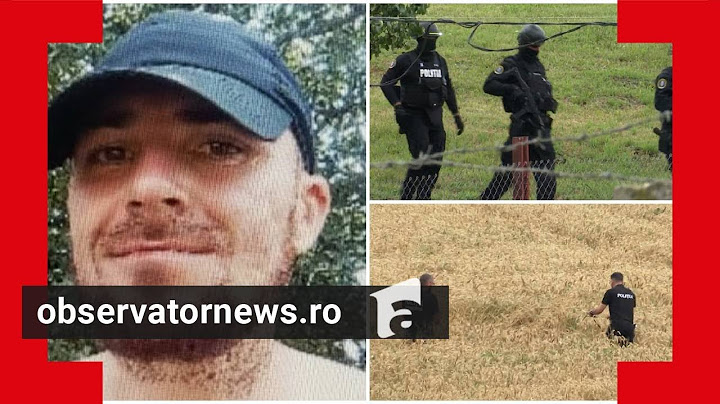 Odiseea criminalului din Mureș, la a 12 zi. Martorii îl văd, dar poliţiştii ajung prea târziu