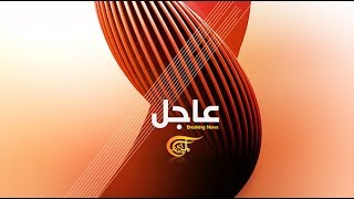 AL-MAYADEEN TV - News Package (2012) Resimi