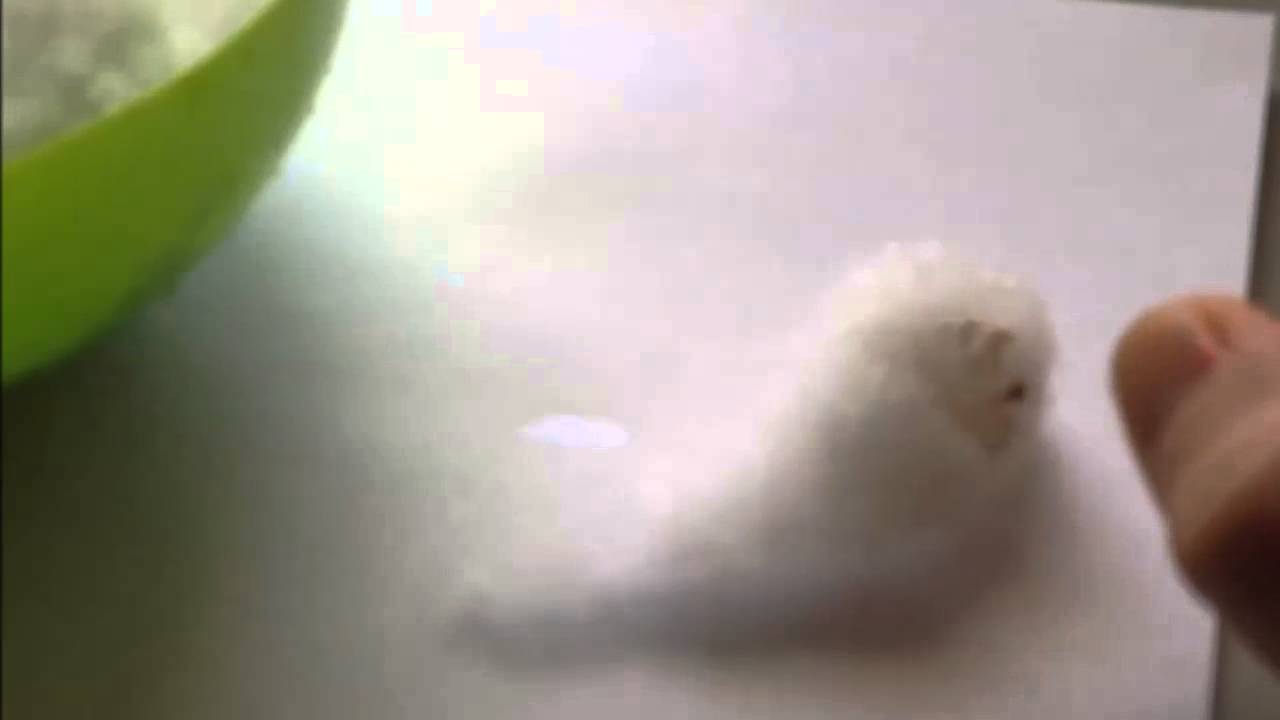 FAKE SNOW THEORY TESTED