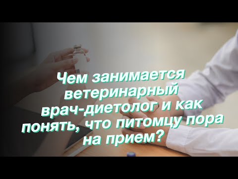 Чем занимается ветеринарный врач-диетолог и как понять, что питомцу пора на прием?