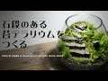 石段のある苔テラリウムの作り方｜石で階段をつくる｜How to make a moss terrarium with stone stairs #06