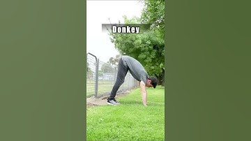 How Different Animals Get Over a Fence 💀😂 Part 3 #shorts