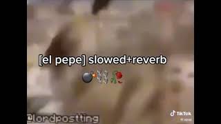 El pepe slowed reverb