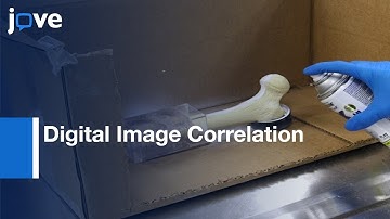 Method To Estimate Cadaveric Femur Cortical Strains During Fracture Testing l Protocol Preview
