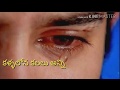 Shankar dada MBBS Emonational Heart touching whatsapp status in telugu[DG loves telugu status _13]