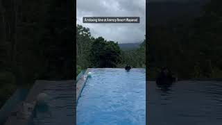 Relaxing Weekend At Amrezy Resort Wayanad