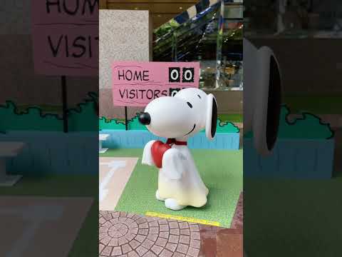 Meet Snoopy At Times Square CWB