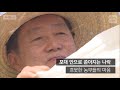 [자막뉴스] ＂왜 이렇게 비싸요 국산도 아닌데＂ 과일 선물세트 비싼 이유 물어보니 | 이슈픽