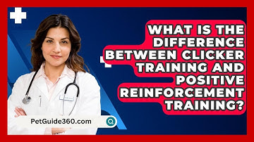 What Is the Difference Between Clicker Training and Positive Reinforcement Training?