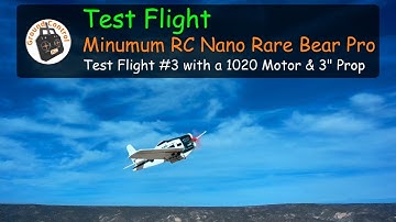 Lost Video from Jan. 2020! Test Flight #3 - Nano Rare Bear with a 1020 Motor & 3" Prop