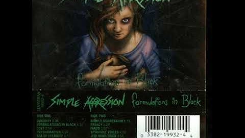 SIMPLE AGGRESSION -  SIMPLE AGGRESSION -  1993 US