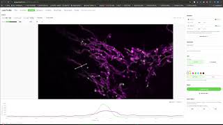 imgTKT A Quick Image Analysis Tool Kit - Line Profile