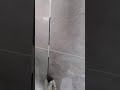 الماستيك زليج  
