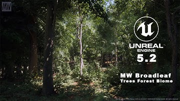 MW Broadleaf Trees Forest Biome | Unreal Engine 5.2 Demo Update