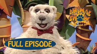 Animal Show | Whale 🐳 / Soldier Ant | Jim Henson Family Hub