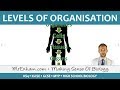 Building Complexity: From Cells to Tissues in Living Organisms
