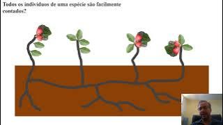 document 5157079210694542697