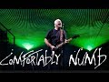 David Gilmour " Comfortably Numb " Royale Albert Hall 2006