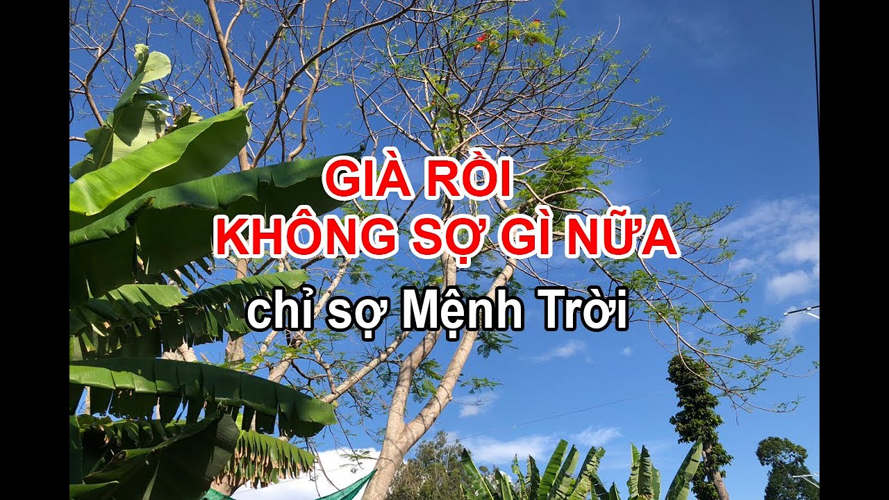 GIÀ RỒI KHÔNG SỢ GÌ NỮA. CHỈ SỢ MỆNH TRỜI