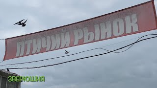 :   . 18.05.2024 # # # # # #