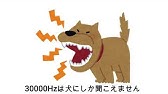 動画解説 犬の口輪の付け方 口輪が嫌いを好きに変える３ステップを分かりやすくご紹介 Youtube