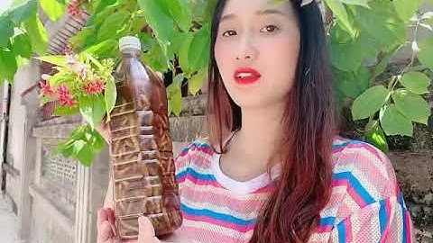 RƯỢU NGÂM SÂU CHÍT CÓ NHỮNG TÁC DỤNG GÌ - THẢO DƯỢC BẢO KHÁNH