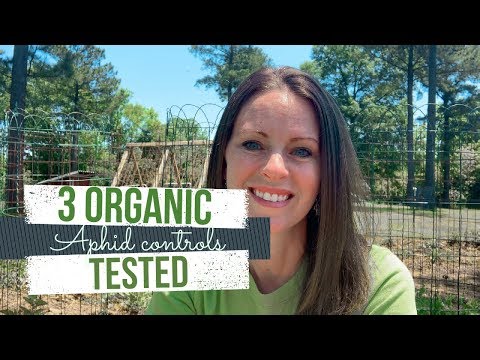 3 Organic Aphid
