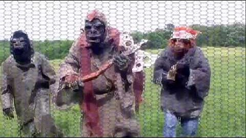 猿の帝国 / 女囚戦記　予告編 [Trailer]