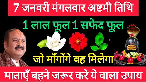 7 जनवरी पौषमास मंगलवार अष्टमी तिथि को 1 लाल फूल 1 सफेद फूल वाला उपाय जरूर करे || Pradeep Ji Mishra