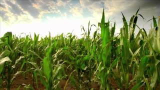 Agco - Our Brand Essence