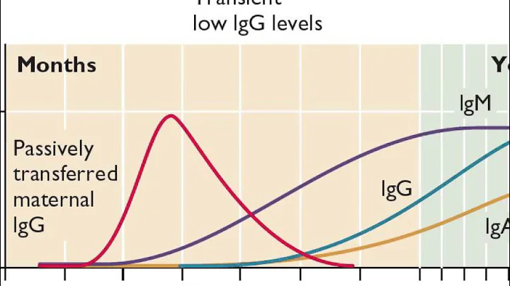 Virology 2012 Lecture #20: Vaccines
