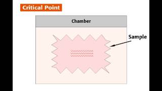 tousimis 931 Critical Point Dryer with Stasis Mode