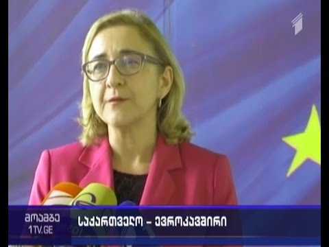 ბერუჩაშვილი ევროკომისარ მალმსტრომს შეხვდა