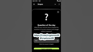 DROPEE - What do you call items dropped by enemies or found in chest that players collect in games?