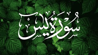 SURAH YASEEN - TILAWAT/RECITATION BY AL FATEH MUHAMMA ZUBAIR