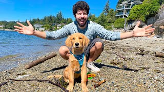 Puppy Goes to Beach for the First Time!