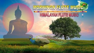 Morning Flute Music || Himalayan Flute Music || Mountain Flute || Meditation Music