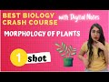 Morphology of Plants in One Shot |Best Biology Crash Course | Ishita Khurana