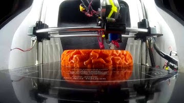 3d printed brain timelapse