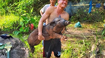 LỢN CẮP NÁCH - Tập 1