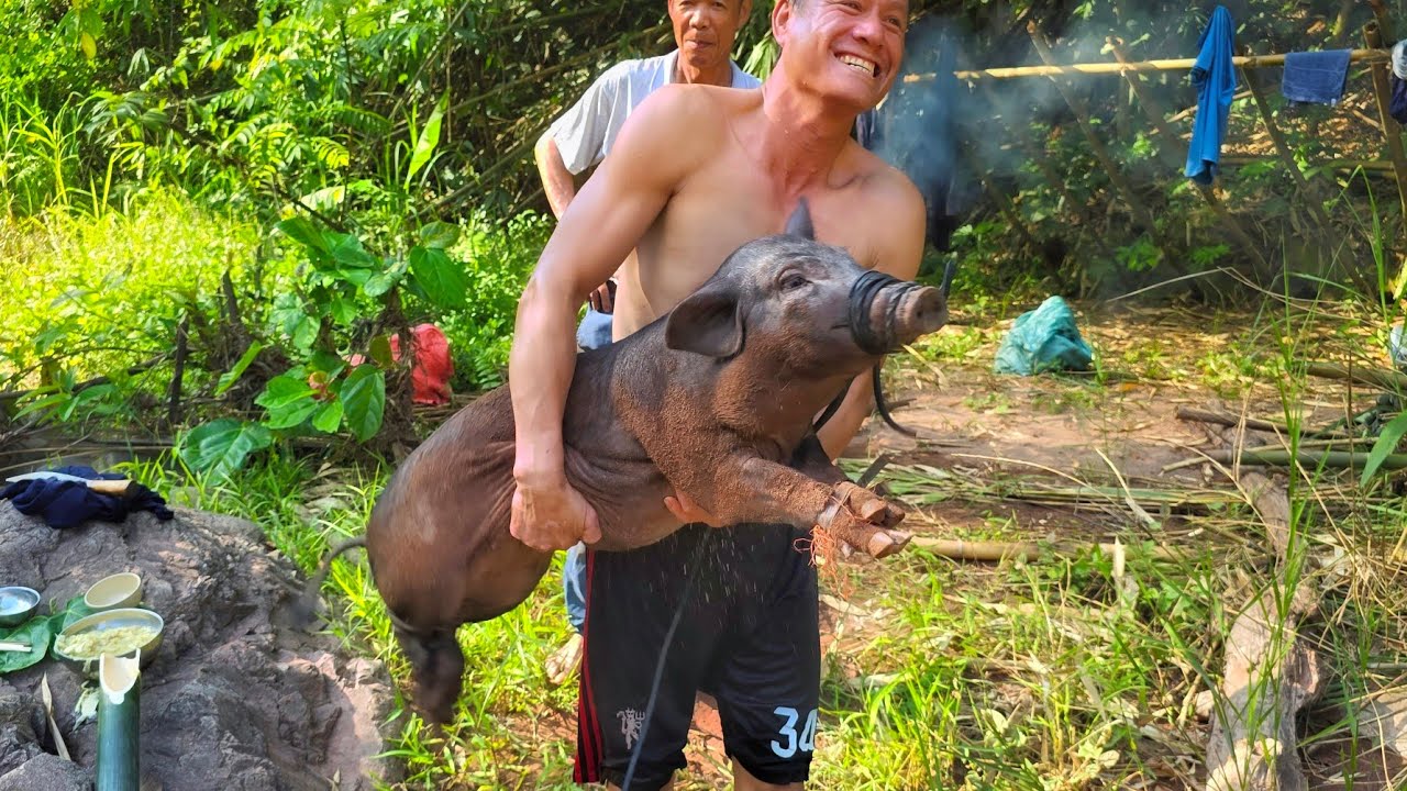 LỢN CẮP NÁCH - Tập 1